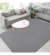 Grey Rugs for Living Room,Minimalist Area Rugs 4x6,Soft Memory-Foam Rugs for Bedroom,Thicked Rugs...
