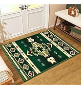 B BENRON Western Entryway Rug 2x3, Non-Slip Small Area Rugs for Kitchen Entry Hallway Porch Front...